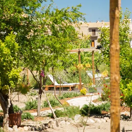 The Pink Pepper Tree Lloseta