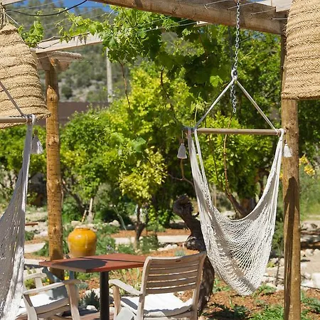 The Pink Pepper Tree Hotel Lloseta
